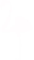flamingo foot and ankle
